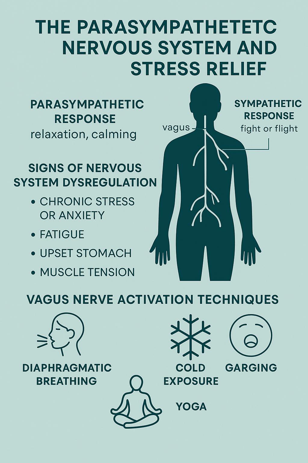 Vagus Nerve and Anxiety Relief Infographic